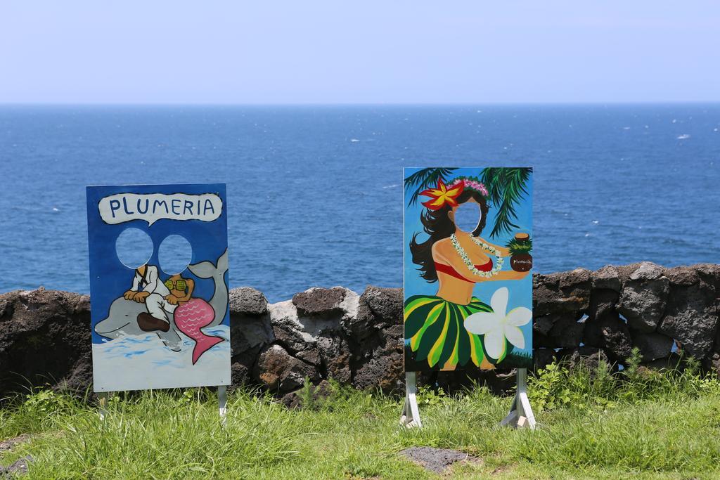 Plumeria Pension Jeju by Eksteriør bilde